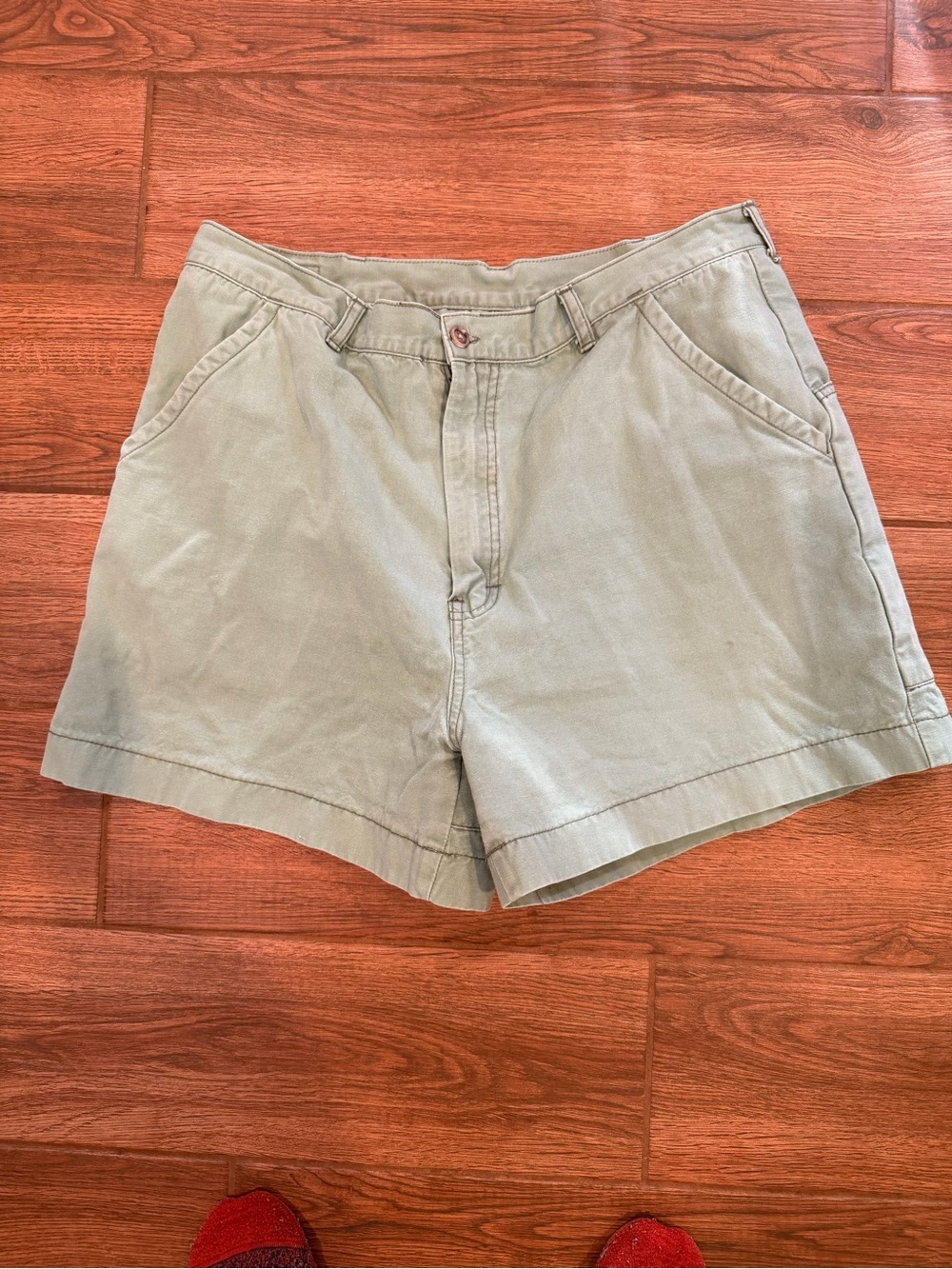 Vintage Patagonia Men's Shorts 4” in Light Sage Green / size 36